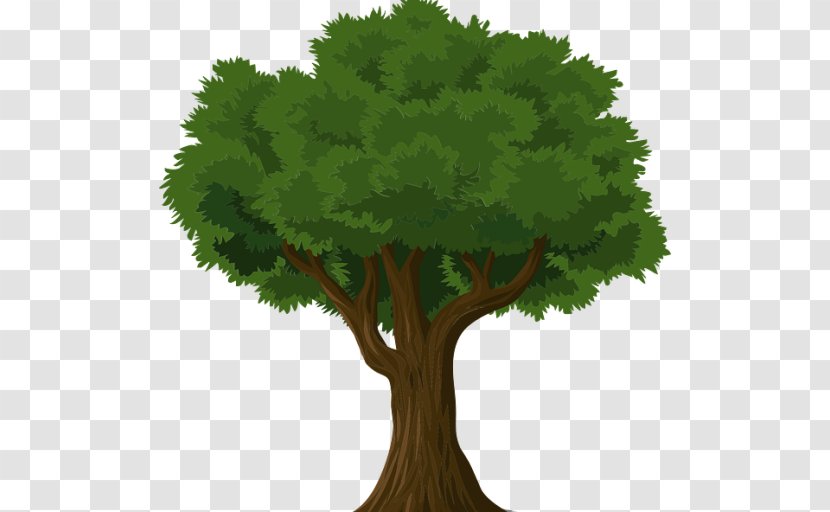 Tree Learning Nusach Hari B'nai Zion Business Organization - Waste Management Transparent PNG