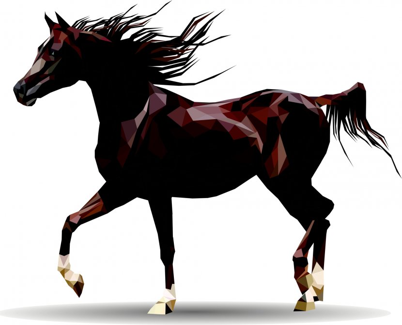 Horse Royalty-free - Mane Transparent PNG