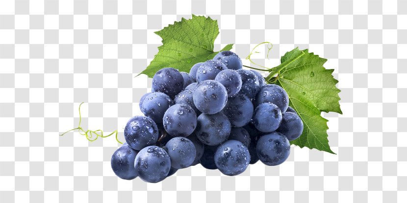 Red Wine Common Grape Vine Muscadine - Blueberry Tea - Fresh Purple Grapes Transparent PNG