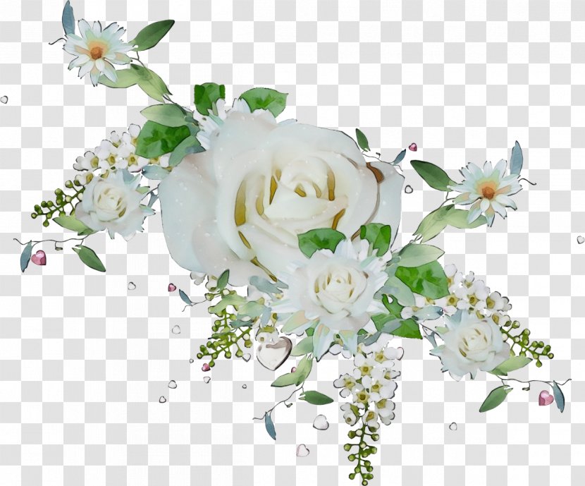 Rose - Flowering Plant - Branch Petal Transparent PNG