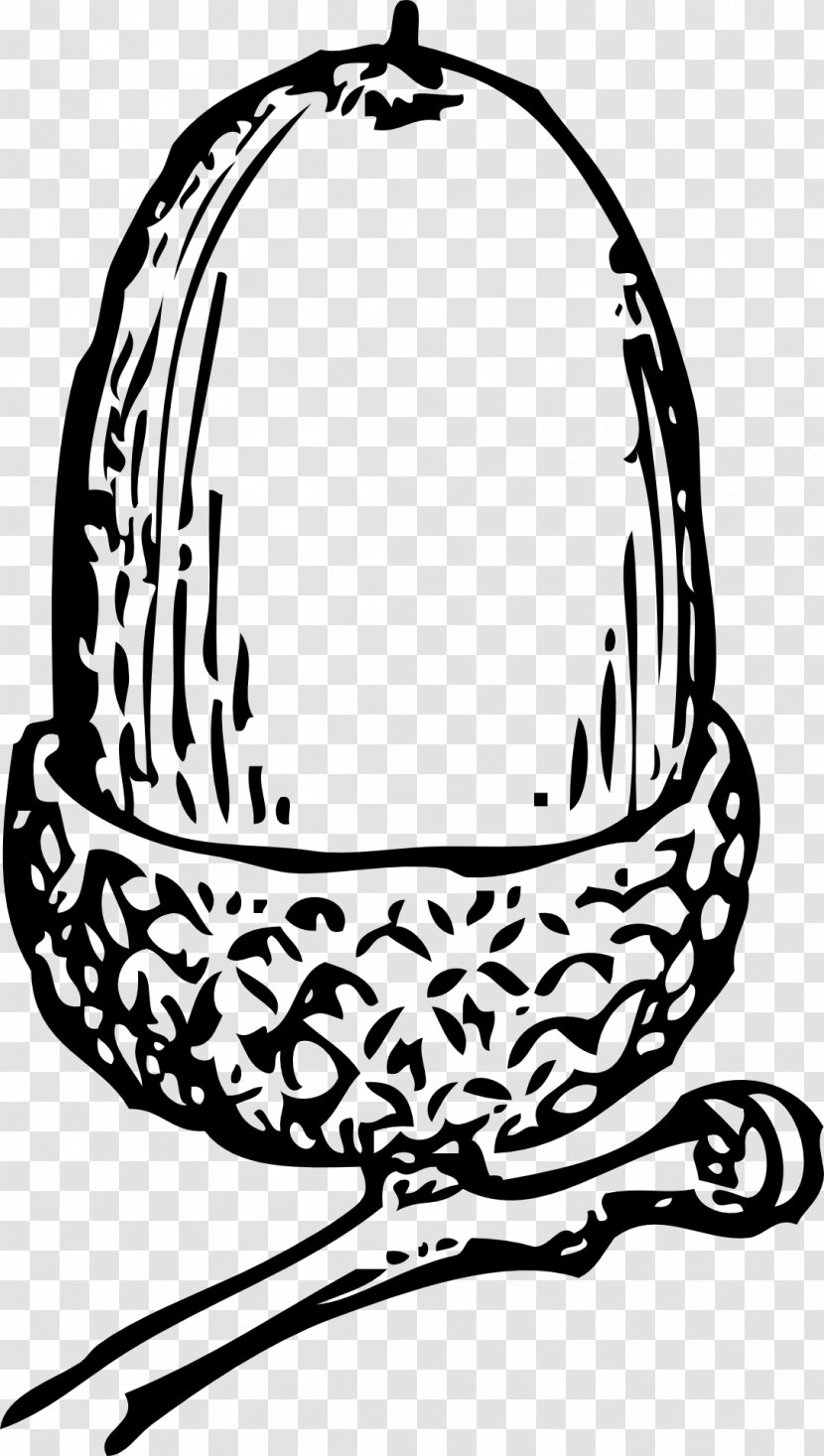 Acorn Clip Art - Line Transparent PNG