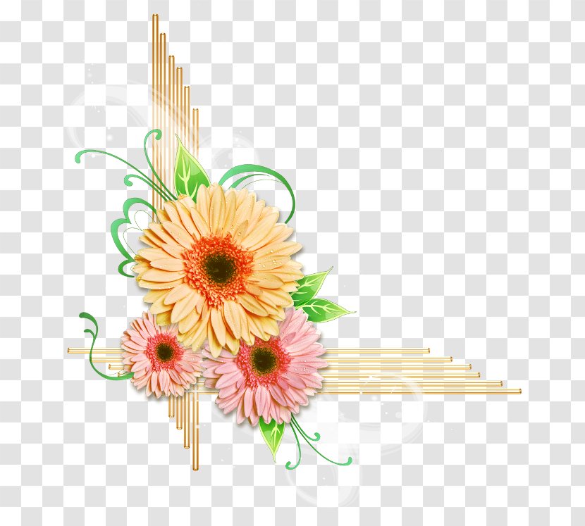 Cut Flowers Floral Design Transvaal Daisy - Petal - Flower Transparent PNG