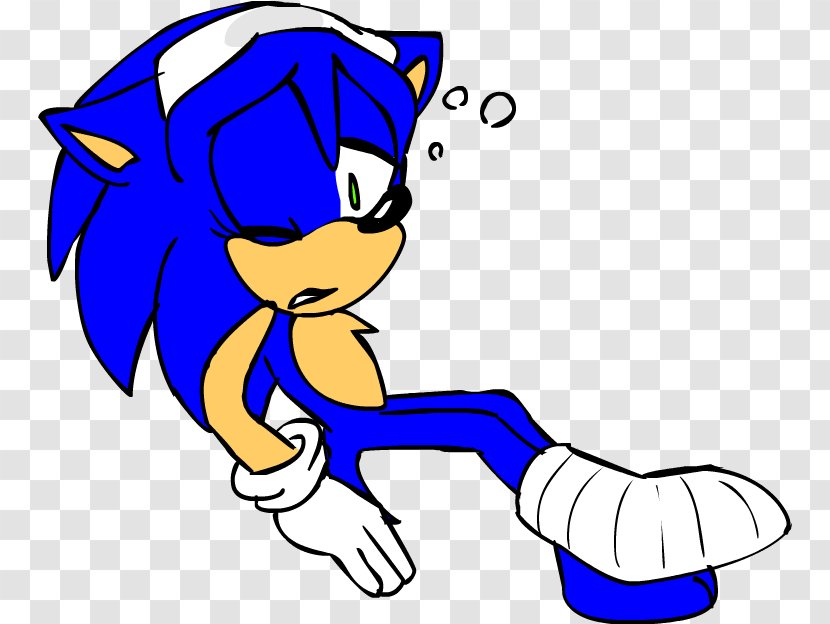 Sonic Drive-In Colors Ariciul The Hedgehog 2 3 - Organism Transparent PNG