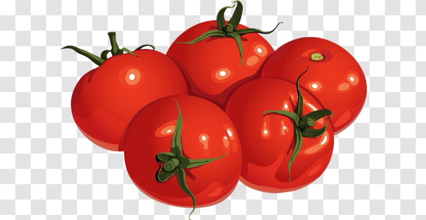 Plum Tomato Bush Food - Diet - Paste Transparent PNG