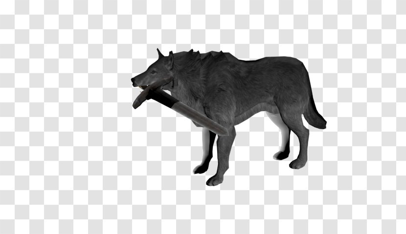 Gray Wolf Panther Leopard Cat Felidae - Dog Like Mammal - Painted Transparent PNG