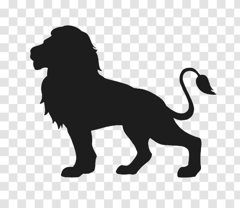Lion - Cat Like Mammal - Face Transparent PNG