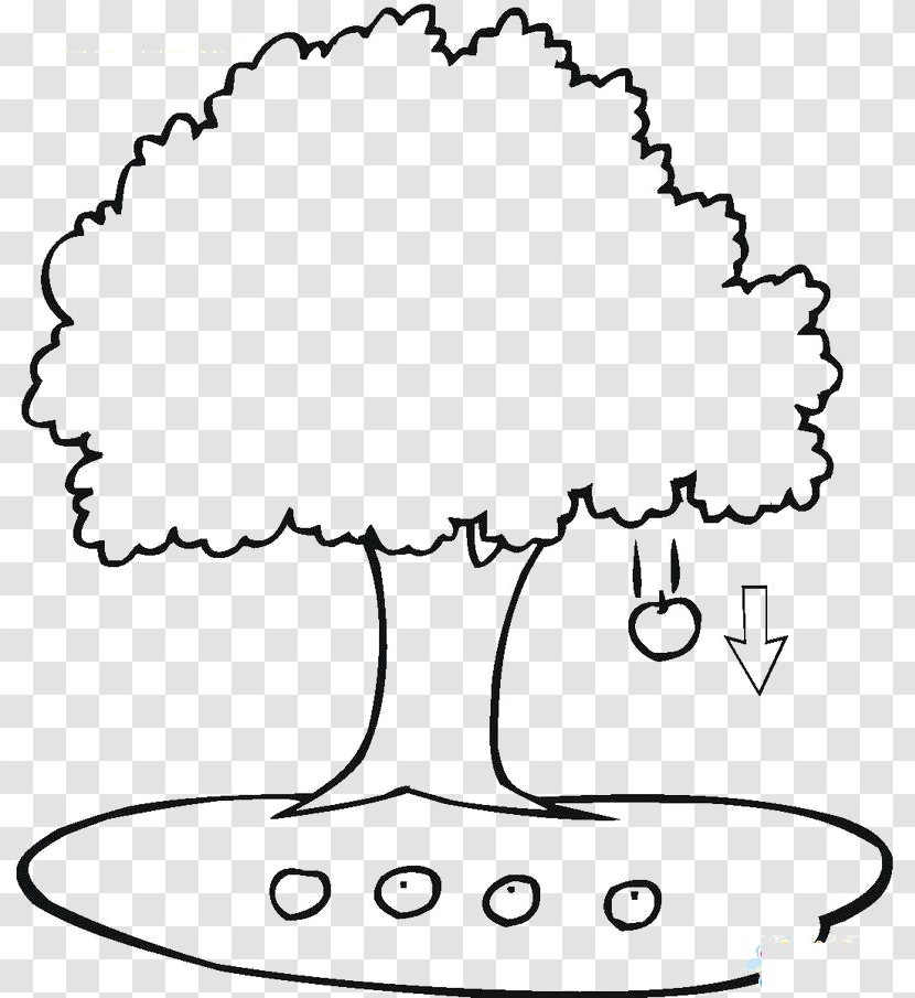 Apple Coloring Book Tree Leaf Branch - Black And White - Falling Stick Figure Transparent PNG
