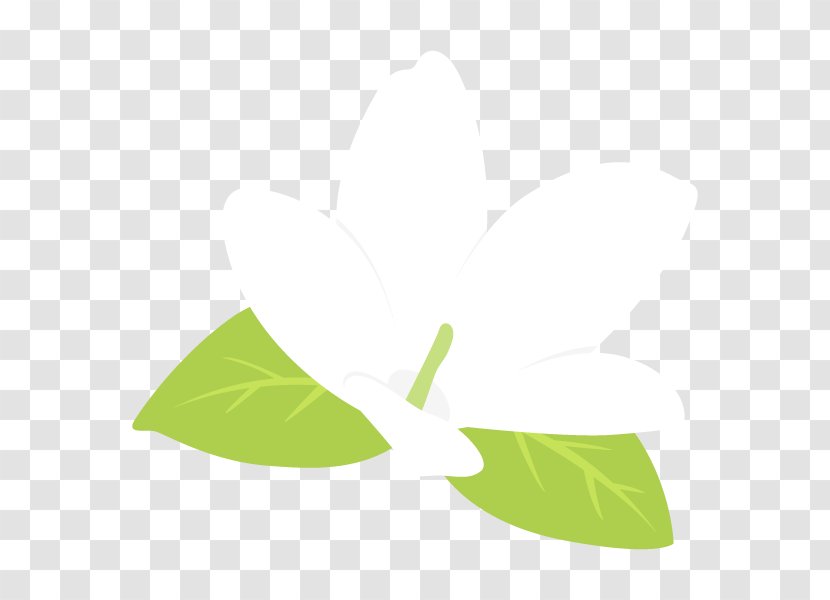 Leaf Clip Art Product Design Line - Grass - Green Transparent PNG