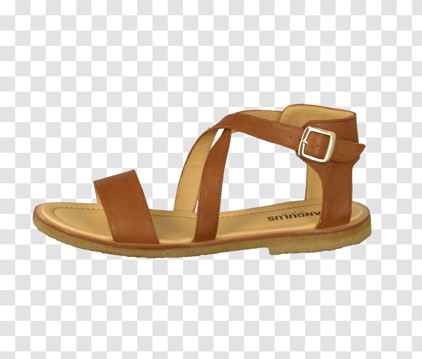 Slipper Sandal Shoe Leather Schuhmodell - Slide Transparent PNG
