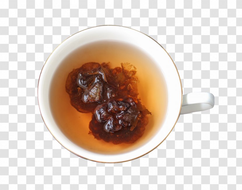 Tea Chutney Sterculia Lychnophora Google Images - Panda Hai Transparent PNG