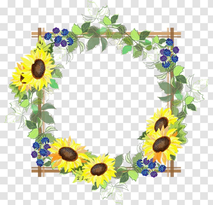 Picture Frames Paper Common Sunflower - Flowering Plant Transparent PNG