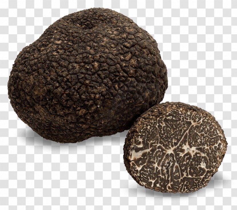 Edible Mushroom Chocolate Truffle Périgord Black Fungus - No - Trufas Transparent PNG