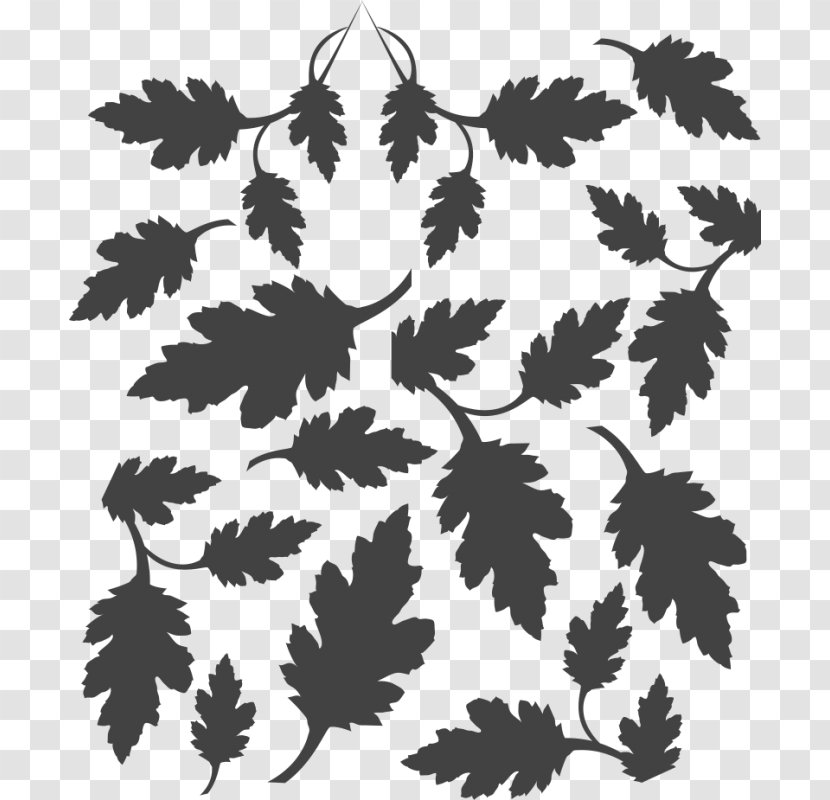 Black Silhouette Flowering Plant Leaf - Branch - CAMOFLAGE Transparent PNG