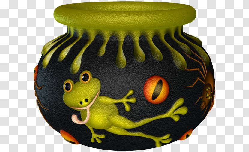 Amphibian - Organism Transparent PNG