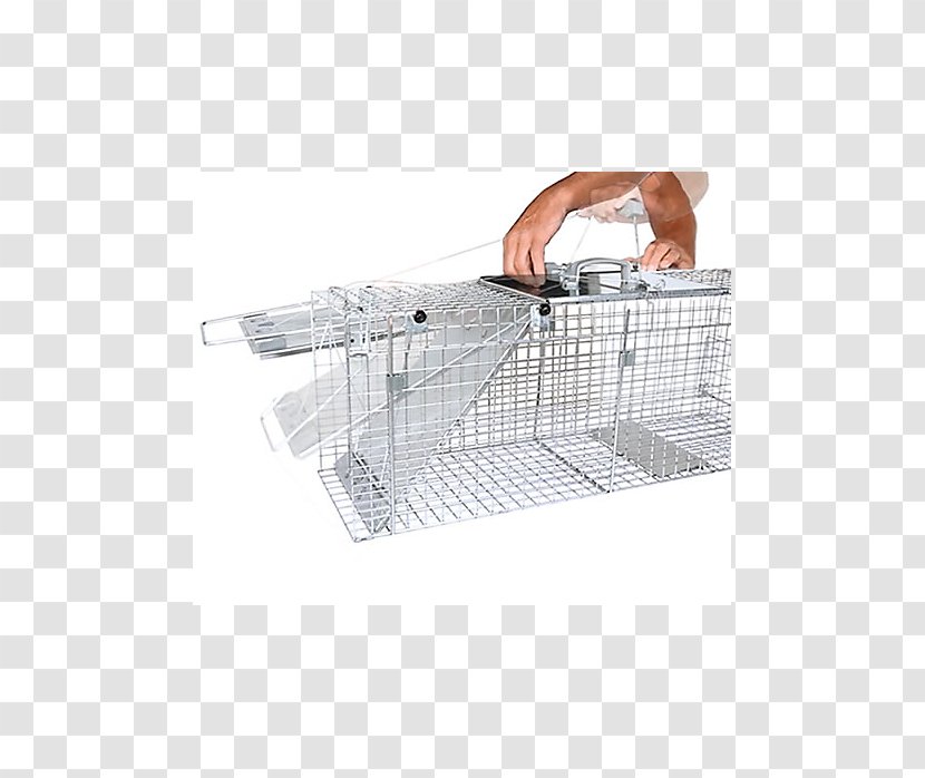 Trapping Raccoon Marten Cage Stairs - Mouse Trap Transparent PNG