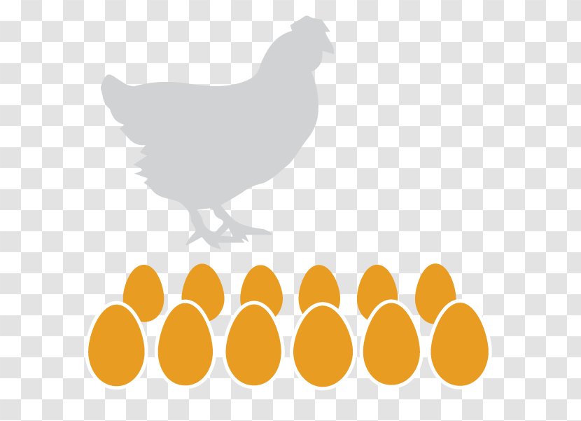 Rooster Chicken Free-range Eggs Buffalo Wing - Thighs Transparent PNG