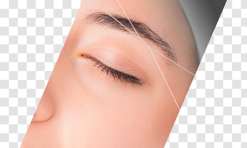 Eyelash Extensions Cheek Chin Eyebrow Forehead - Beautym - Hair Removal Transparent PNG