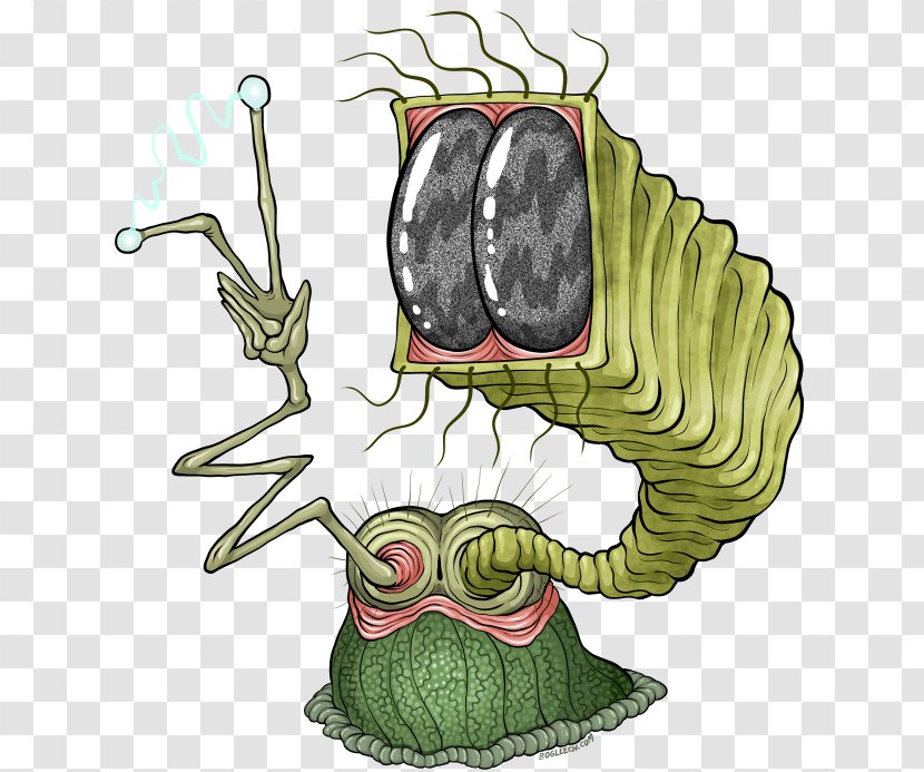 Art Snail Drawing Clip - Tree - Mort Transparent PNG