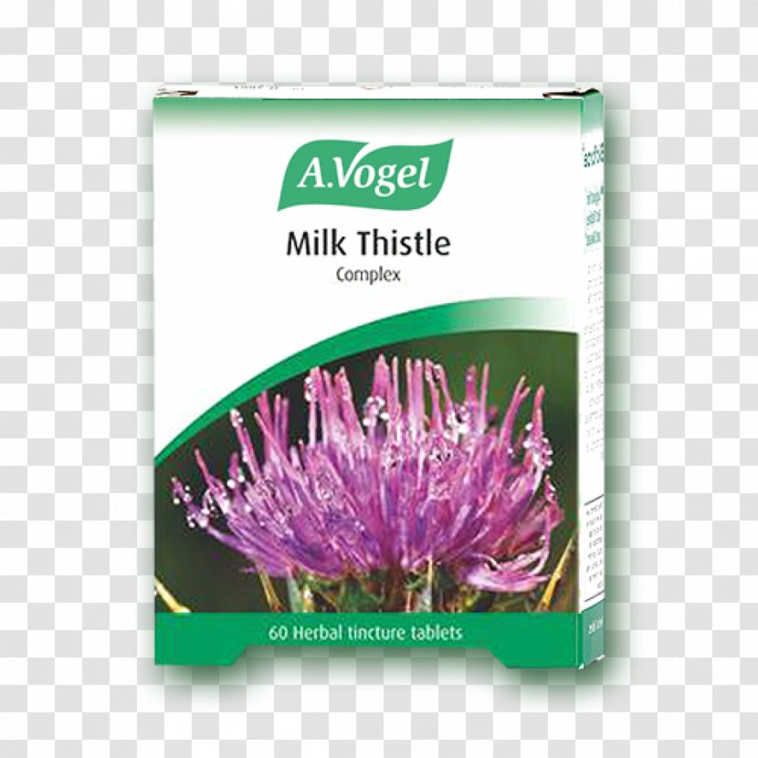 Dietary Supplement Milk Thistle Tincture Tablet - Health Transparent PNG