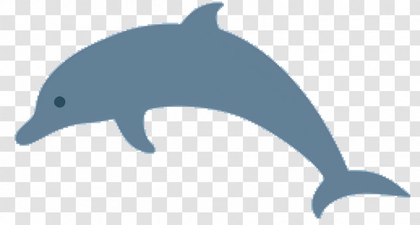 Dolphin Cartoon - Porpoise - Shortbeaked Common Transparent PNG