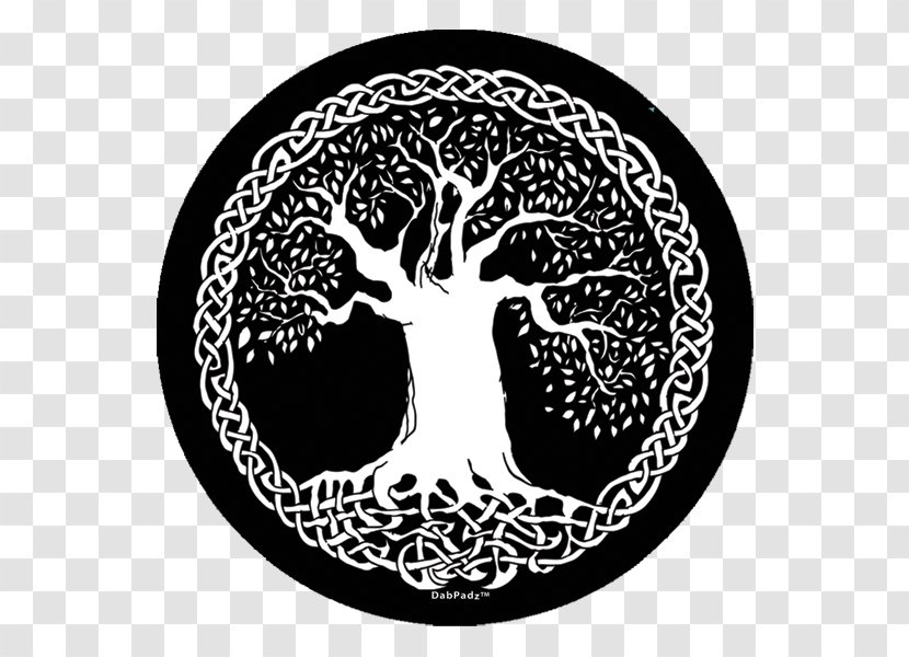 Tree Of Life Celts Celtic Knot Sacred Trees - Poster Transparent PNG