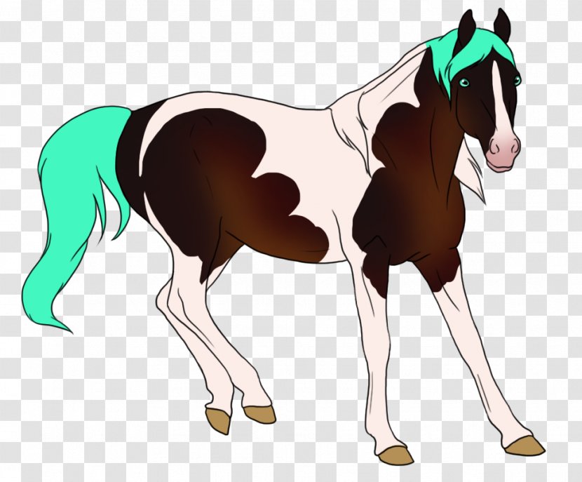 Foal Mane Stallion Horse Mare - English Riding Transparent PNG