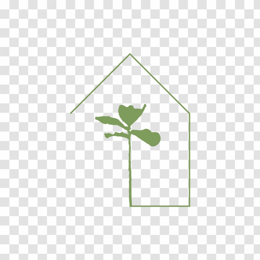 Leaf Font Plant Stem Line - Flora Transparent PNG