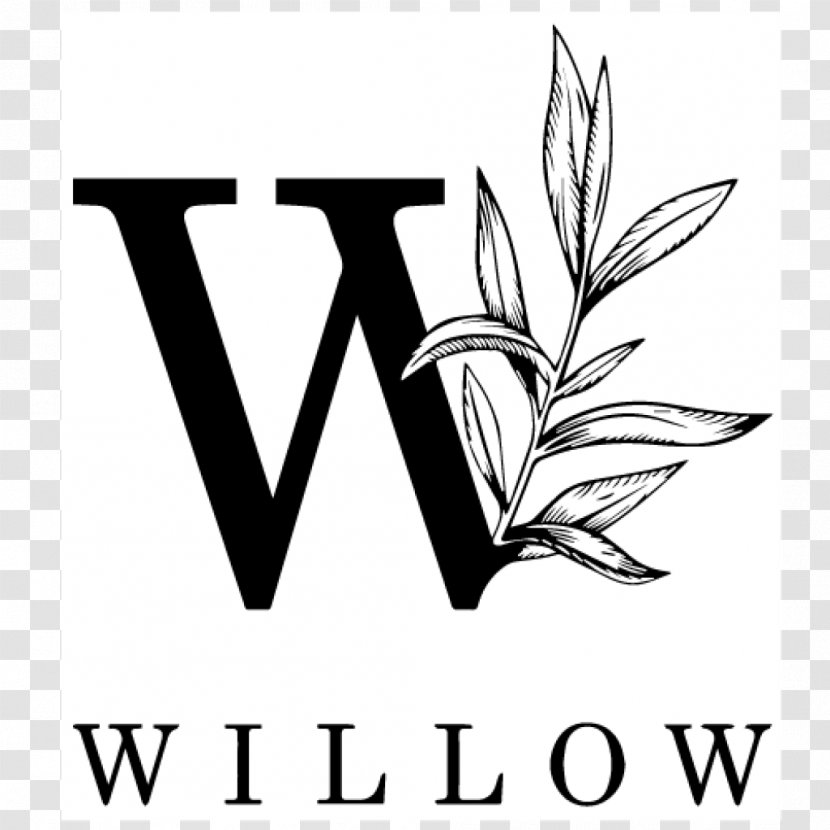 Make-A-Wish Foundation Management Child Mississippi University For Women Business - Willow Bark Transparent PNG