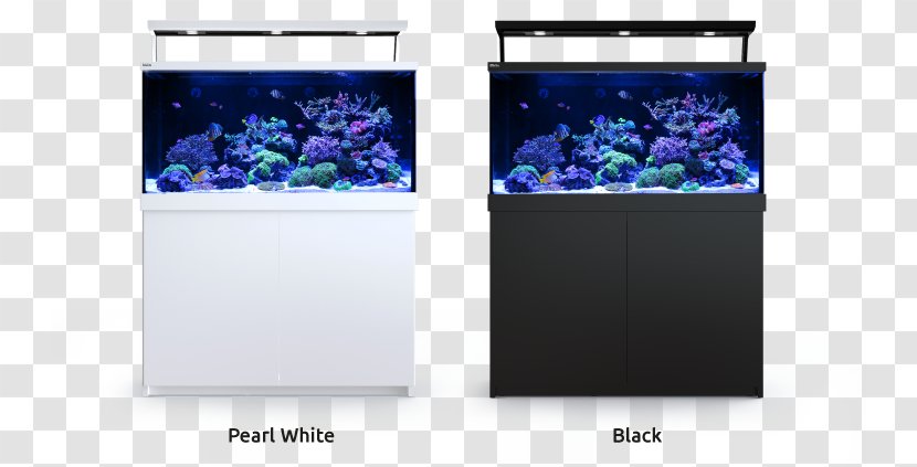 Red Sea Max S650 Reef Aquarium - Coral Transparent PNG