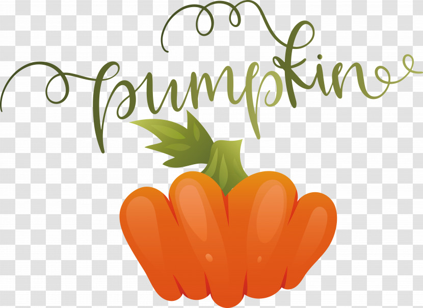 Pumpkin Transparent PNG