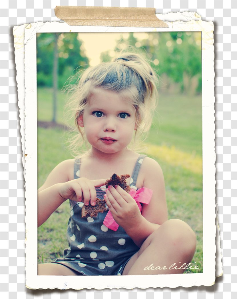 Toddler Portrait Photography Picture Frames - Tree - COOKIES & CREAM Transparent PNG