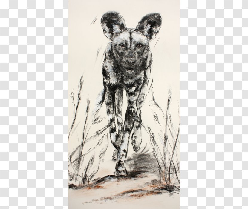 Dog Visual Arts Cat Drawing Sketch - Artwork Transparent PNG