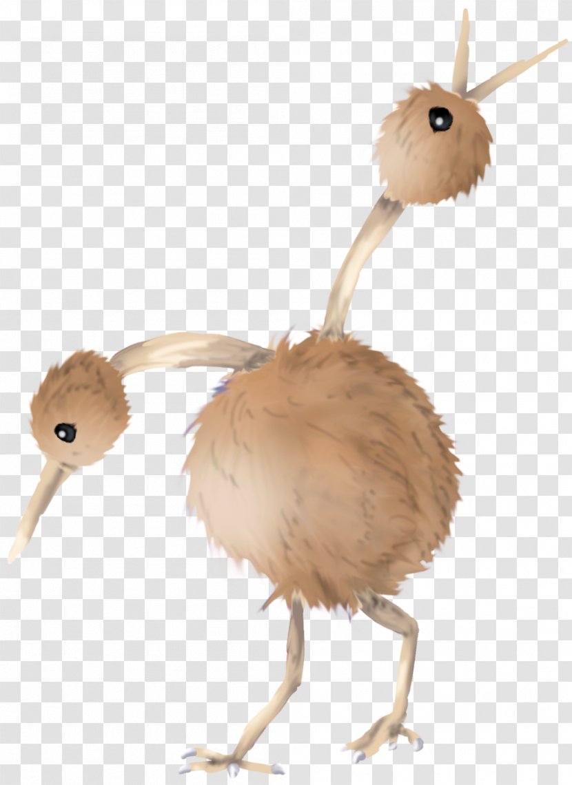 Flightless Bird Common Ostrich Chicken Ratite - Organism - Cinnamon Transparent PNG
