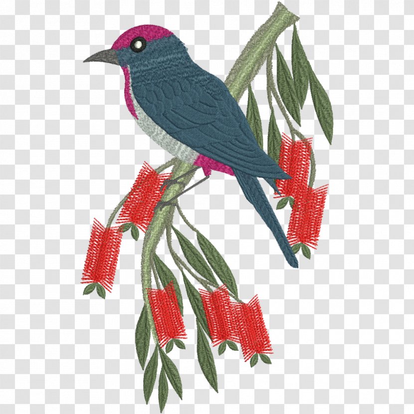 Bird Machine Embroidery Parrot - Eclectus - Capped Transparent PNG