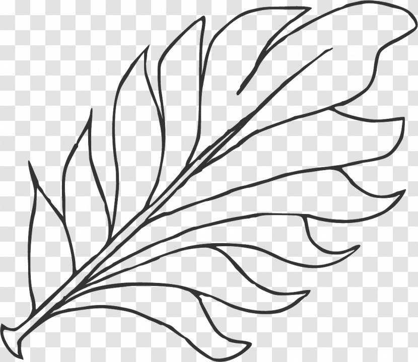 Leaf Line Art. - White - Flora Transparent PNG