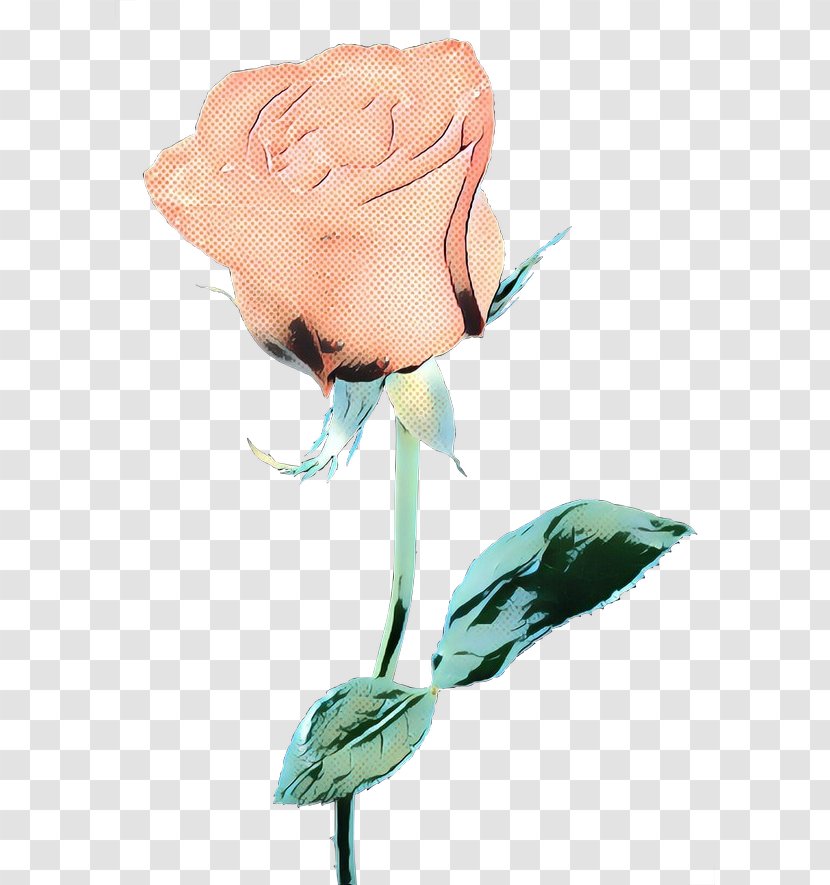 Pink Flower Cartoon - Petal - Hybrid Tea Rose Order Transparent PNG