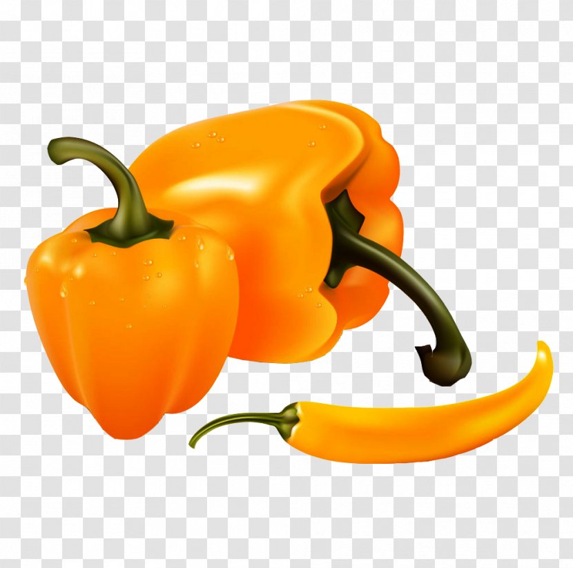 Bell Pepper Banana Chili Clip Art - Capsicum Annuum - Yellow Persimmon Vector Transparent PNG