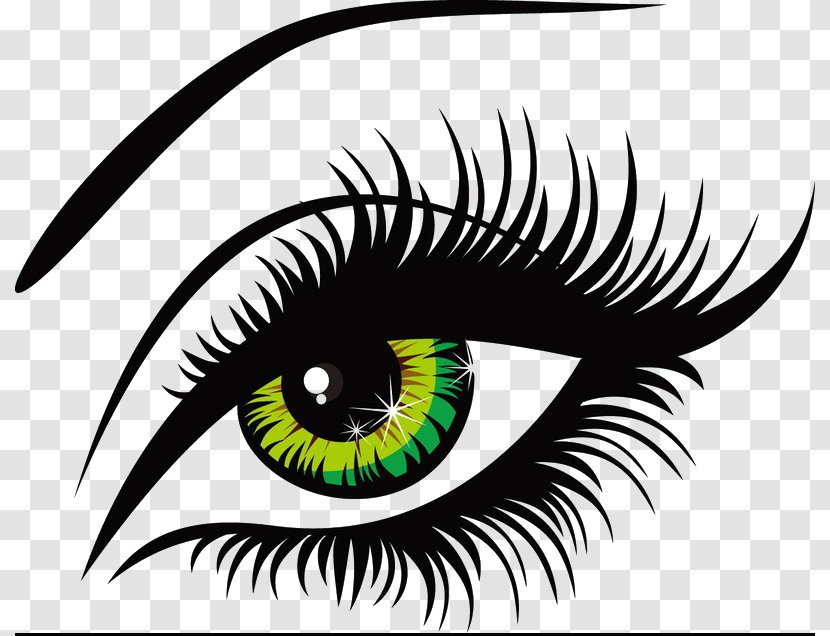Eye Color Illustration - Tree - Creative Hand-painted Brows Transparent PNG
