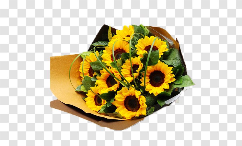 Common Sunflower Nosegay Flower Bouquet - Seed - Yellow Gift Transparent PNG