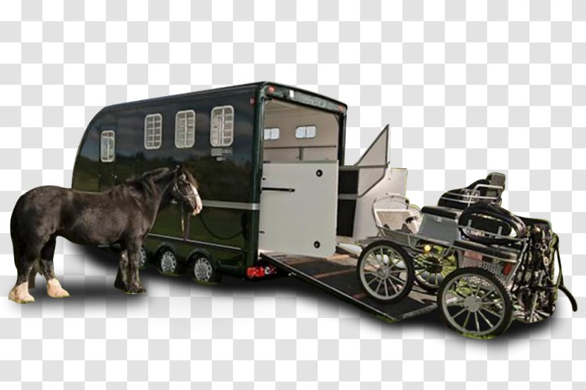 Horse & Livestock Trailers Carriage Motor Vehicle - Transport Transparent PNG