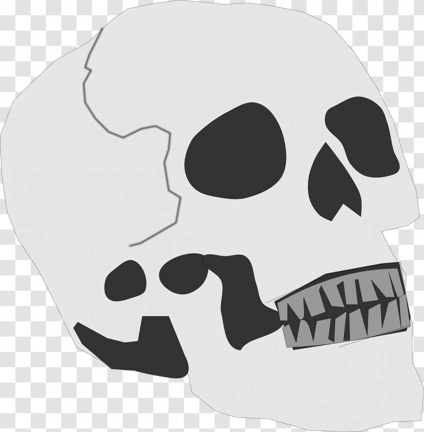 Skull Human Skeleton Clip Art Transparent PNG