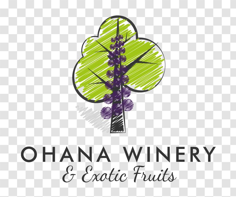 Paragon Theatre Ohana Winery And Exotic Fruits Common Grape Vine - Wine Transparent PNG