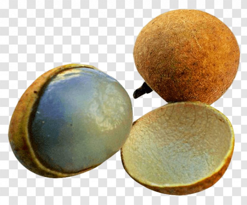 Fruit Longan Juice Purple Mangosteen - Orange Transparent PNG