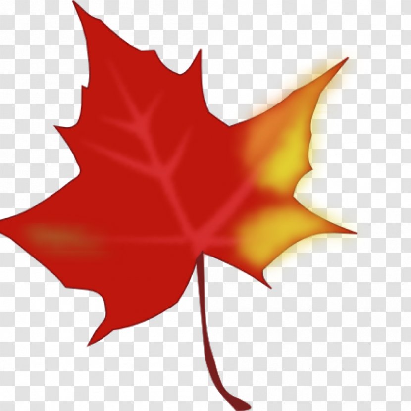 Clip Art Autumn Leaf Color Image - Petal Transparent PNG