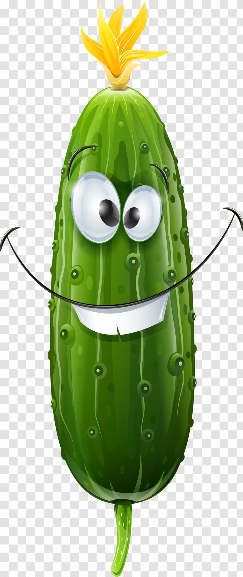 Cucumber Vegetable Drawing - Parthenocarpy Transparent PNG