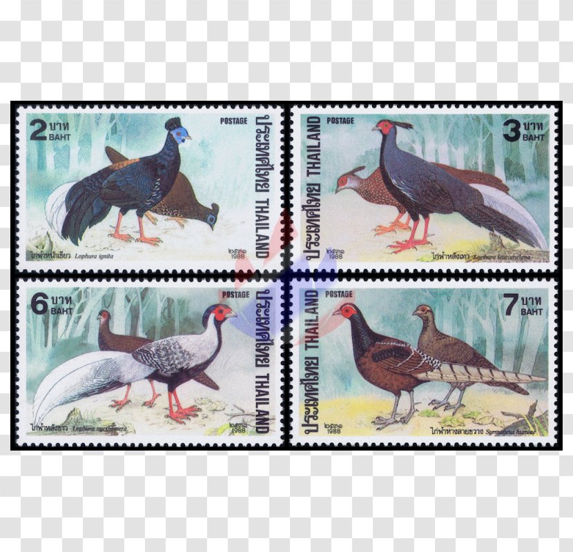 Kalij Pheasant Postage Stamps Silver Dinosaur - Fauna Transparent PNG