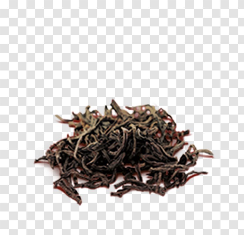 Assam Tea Masala Chai Oolong White - Lapsang Souchong - Black Transparent PNG