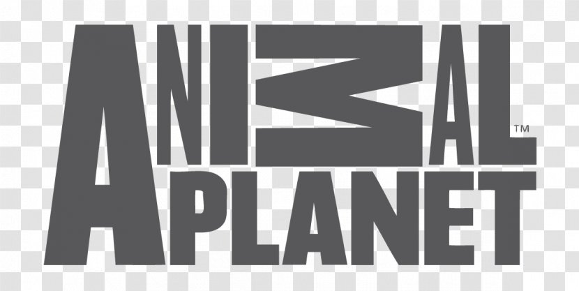 Animal Planet Television Channel Show Logo - Monochrome - Atenção Transparent PNG