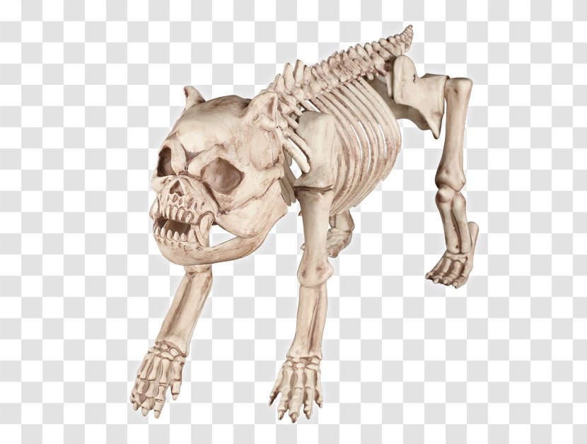 Beagle Skeleton Halloween Costume Bone - Dog Transparent PNG