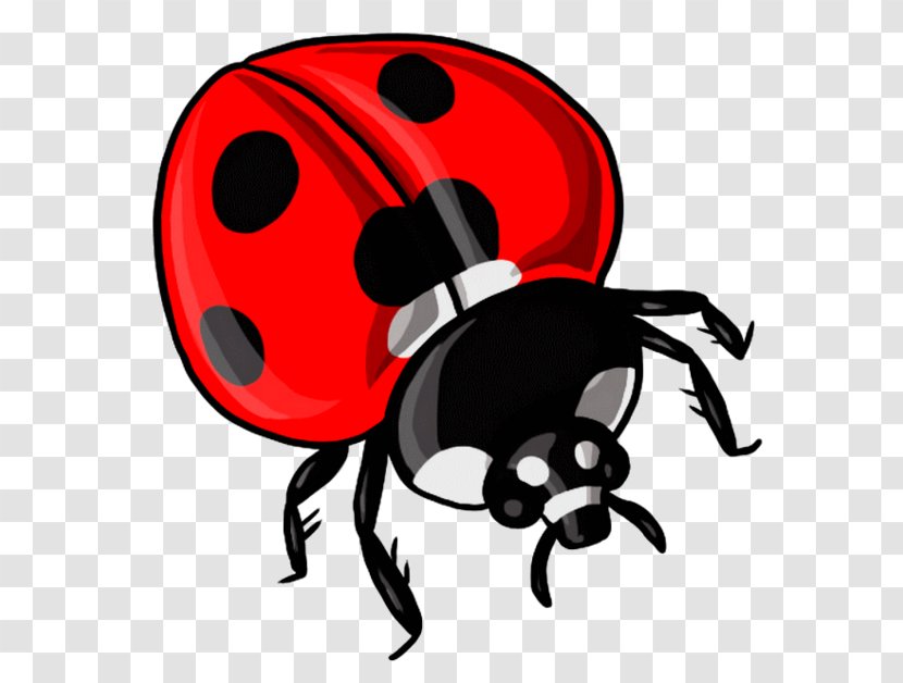 Ladybird Beetle Drawing Clip Art Word YouTube - Artwork Transparent PNG